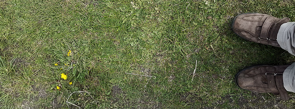 post-image post-image